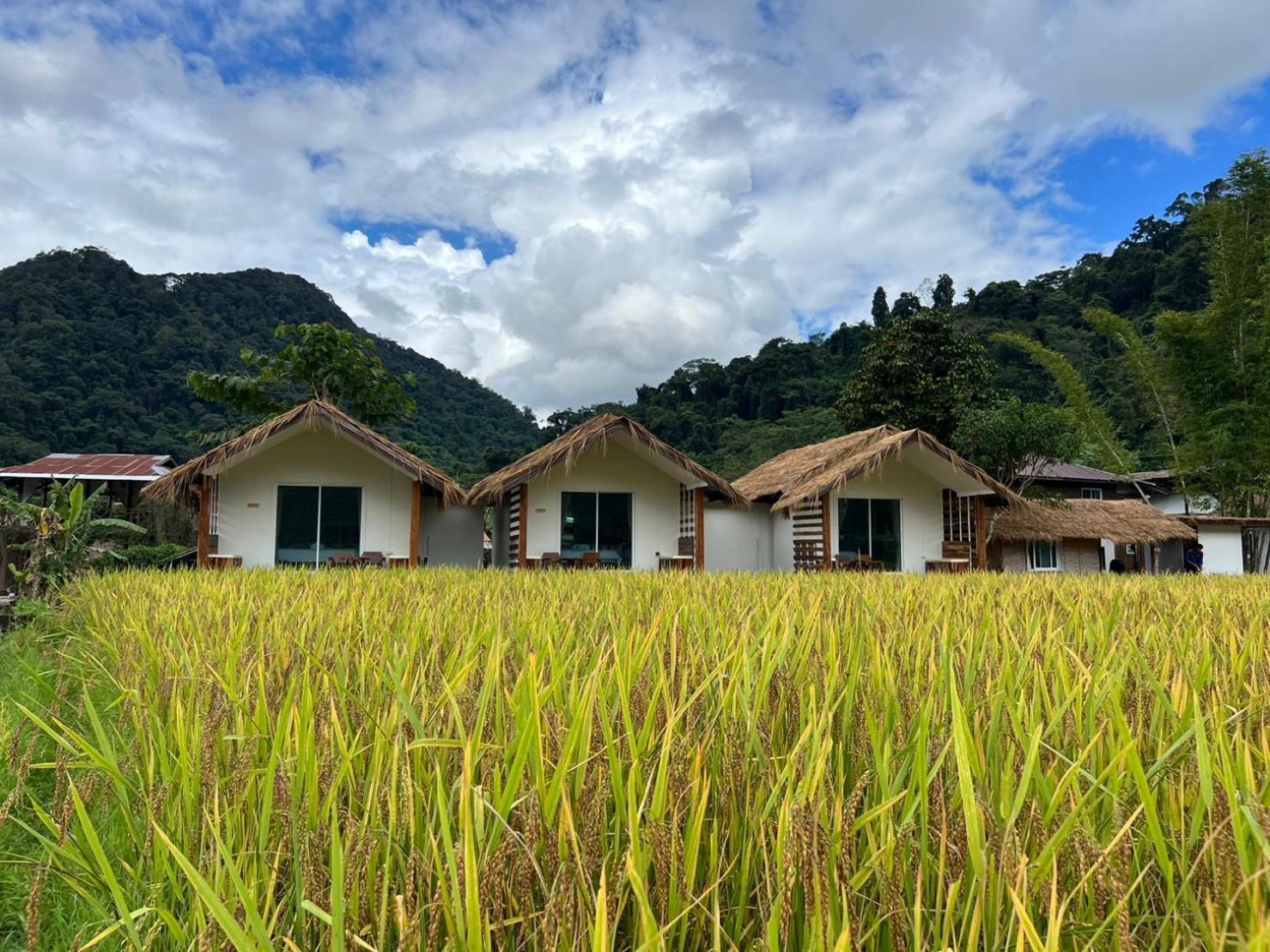 Apartmán สะปันดีวิว Sapan Dee View บ่อเกลือ น่าน Ban Huai Ti Exteriér fotografie