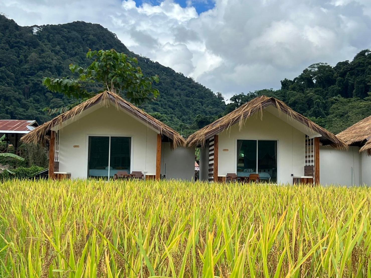 Apartmán สะปันดีวิว Sapan Dee View บ่อเกลือ น่าน Ban Huai Ti Exteriér fotografie